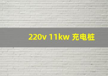 220v 11kw 充电桩